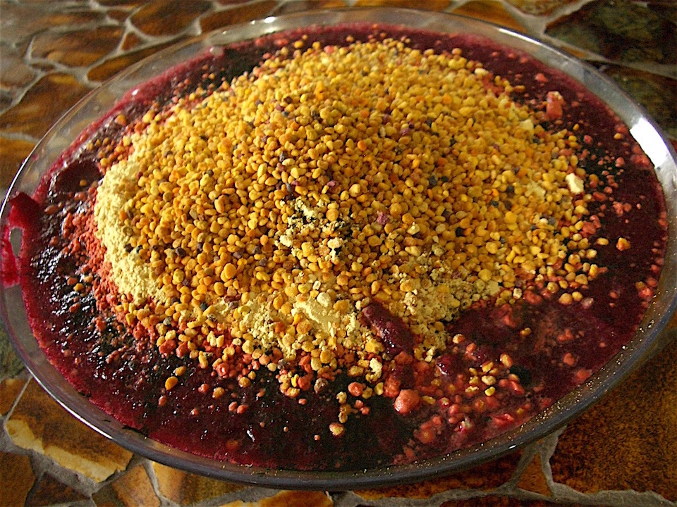 Paleo meal in a Bowl - bee pollen, pine pollen, and chlorella, with blended blackberries, blueberries, ginger root, lettuce, beet, red cabbage, red onion, and kombucha covering one whole sliced and mashed avocado